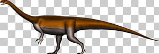 Glacialisaurus Riojasaurus Massospondylus Dinosaur Coloradisaurus PNG