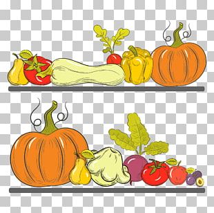 Pumpkin Calabaza Winter Squash PNG
