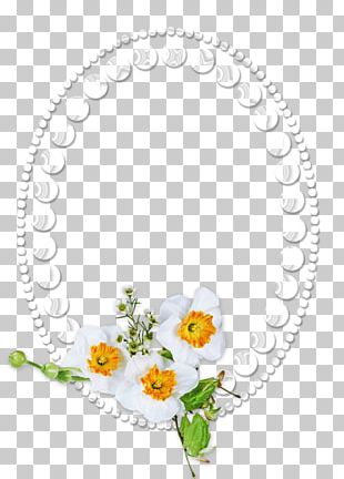 Flower Oval Frame Floral Oval Frame PNG, Clipart, Floral Oval Frame ...