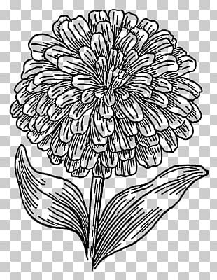 Mexican Marigold Drawing PNG, Clipart, Art, Artwork, Black And White ...