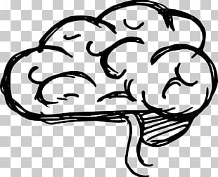 Drawing Brain Line Art PNG, Clipart, Area, Art, Black And White, Brain