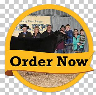 Golden Flo Car Dealership Customer Service Taylorville PNG