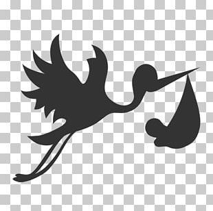 White Stork Computer Icons Infant PNG
