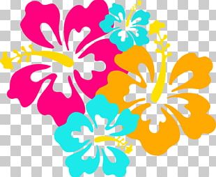 Hawaii Flower PNG, Clipart, Border, Branch, Customs, Design, Effect ...