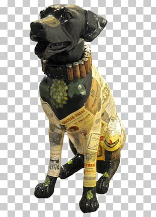 Labrador Retriever Pet Animal Shelter Dog Breed Cat PNG