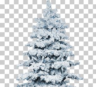 Christmas Tree Winter Snow PNG, Clipart, Christmas Decoration ...