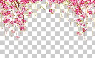 Euclidean Flower PNG