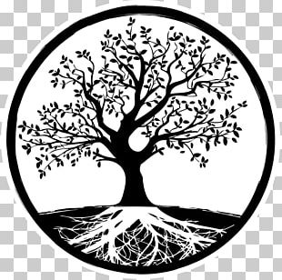 Drawing Tree Root PNG, Clipart, Art, Artwork, Branch, Drawing ...