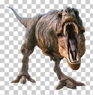 Tyrannosaurus Velociraptor Dinosaur Jurassic Park Png, Clipart, Art 