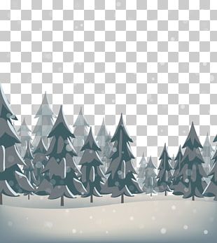 Snow Pine PNG