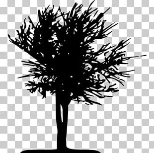 Twig Silhouette Black And White PNG