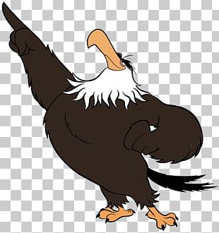 Bald Eagle Free Content PNG, Clipart, Adobe Illustrator, Animals, Art ...