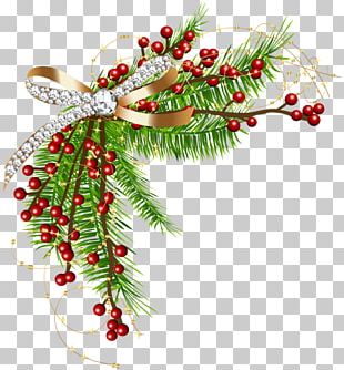 Borders And Frames Frames Christmas Gift PNG, Clipart, Borders And ...