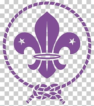 Scouting For Boys World Scout Emblem Boy Scouts Of America Fleur-de-lis ...