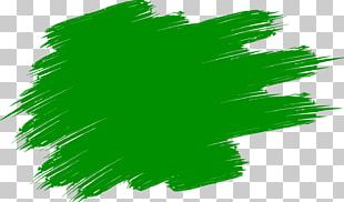 Brush & Color Watercolor Painting PNG