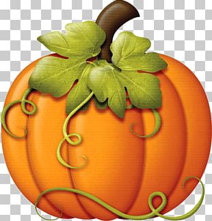 Autumn Pumpkin Thanksgiving PNG