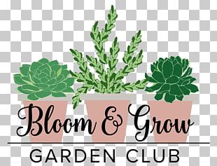 Vegetable Flowerpot Herb Garden PNG, Clipart, Basil, Container ...