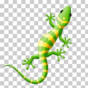 Lizard Reptile Gecko Stencil PNG, Clipart, Amphibian, Black And White ...