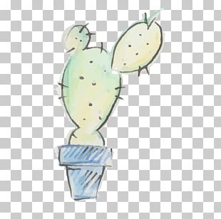 Cactaceae PNG