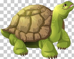 Turtle Animation PNG, Clipart, Animals, Animation, Cartoon, Clip Art ...