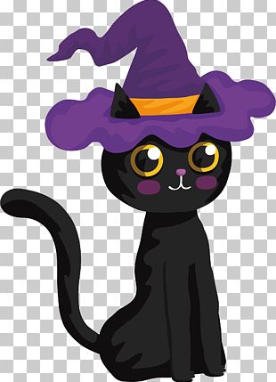 Black Cat Halloween Witch PNG