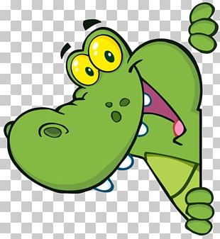 Alligator Crocodile Cartoon PNG