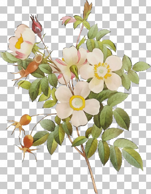 BTS PNG