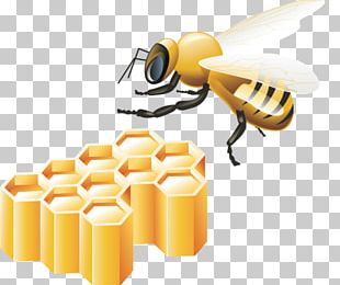 Bee PNG