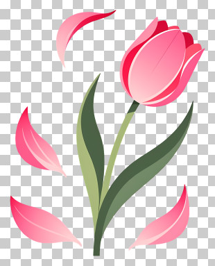 Falling Flowers - Pink Tulip With Petals PNG