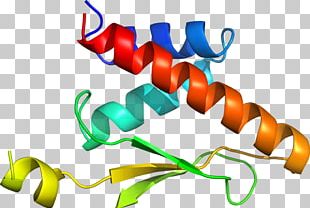 Line Organism PNG