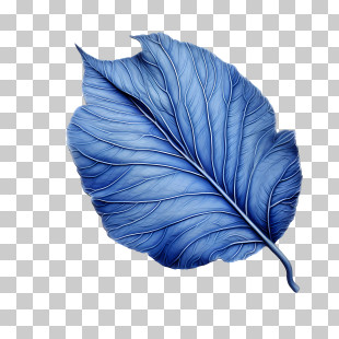 Blue Leaves - Blue Leaf Botanical Illustration PNG