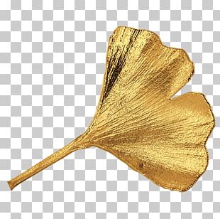 Leaf PNG