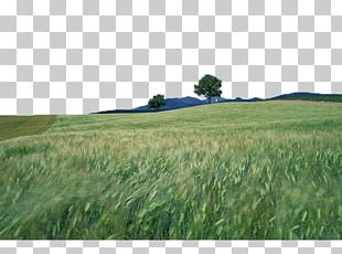 Natural Landscape Nature Landscape Photography PNG
