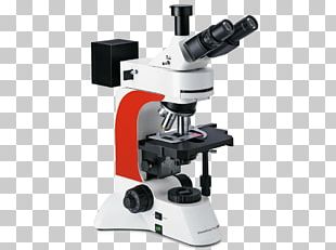 Light Optical Microscope Fluorescence Microscope PNG
