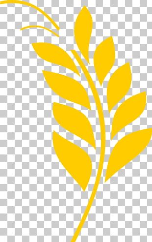 Rice PNG
