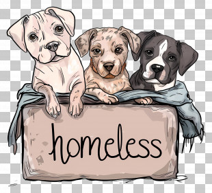 International Homeless Animals Day - Homeless Puppies PNG