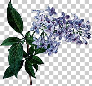 Cloth Napkins Paper Decoupage Plate Sticker PNG