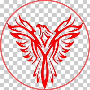 Philippine Eagle Png Images Philippine Eagle Clipart Free Download