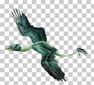 Beak Mexican Cuisine Amphiptere Dragon Feather PNG