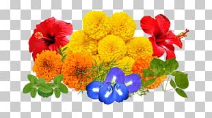 Cut Flowers Floral Design Floristry Flower Bouquet PNG