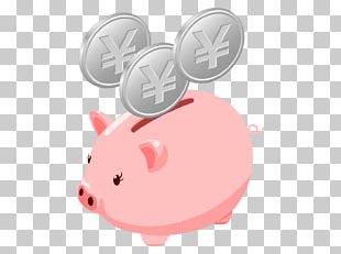 æœªæ¥ã‚’å¤‰ãˆã‚‹ã€Œå¤–è¦‹æˆ¦ç•¥ã€ ç©ç«‹æŠ•è³‡ å°‘é¡æŠ•è³‡éžèª²ç¨Žåˆ¶åº¦ Investment Money PNG