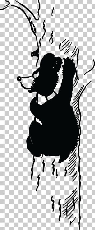 American Black Bear Koala Brown Bear PNG