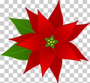 Christmas Holiday PNG
