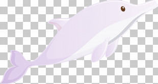 Cetacea Dolphin Pink Fin Fish PNG