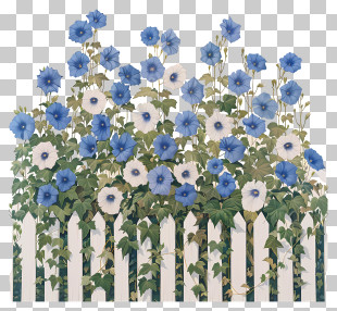 Garden Fence - Blue Morning Glories On Fence PNG