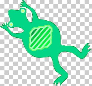 Frog Roadkill Computer Icons PNG
