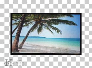 Mat Arecaceae Shore Beach Frames PNG