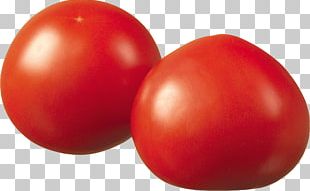 Plum Tomato Bush Tomato Food PNG
