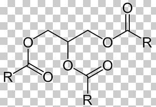 Organic Chemistry Ankleshwar Manufacturing Triglyceride PNG