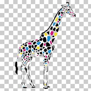 Reticulated Giraffe Abstract Art Drawing Painting PNG